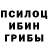 Псилоцибиновые грибы Psilocybine cubensis Ira Brown