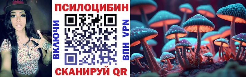 наркота  Липецк  Псилоцибиновые грибы прущие грибы 