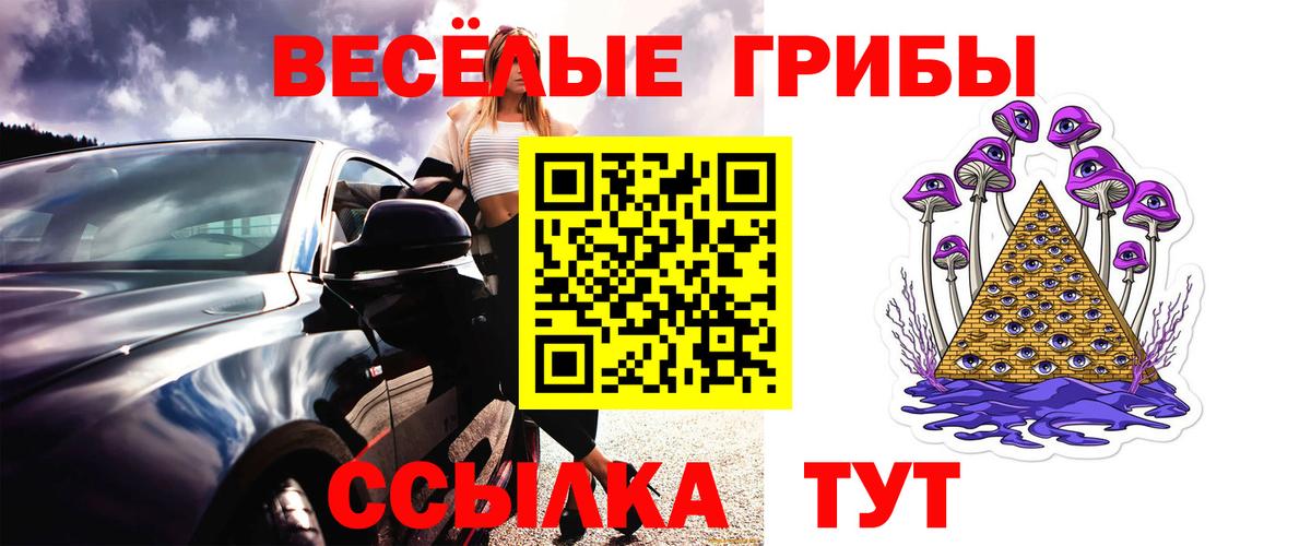 Псилоцибиновые грибы мицелий Липецк