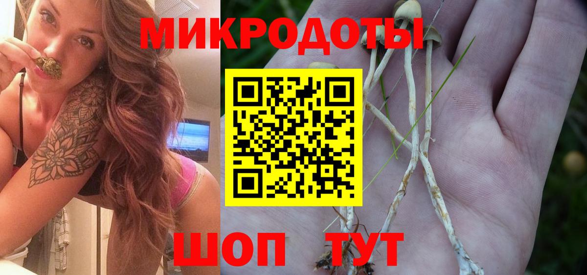Галлюциногенные грибы MAGIC MUSHROOMS Липецк
